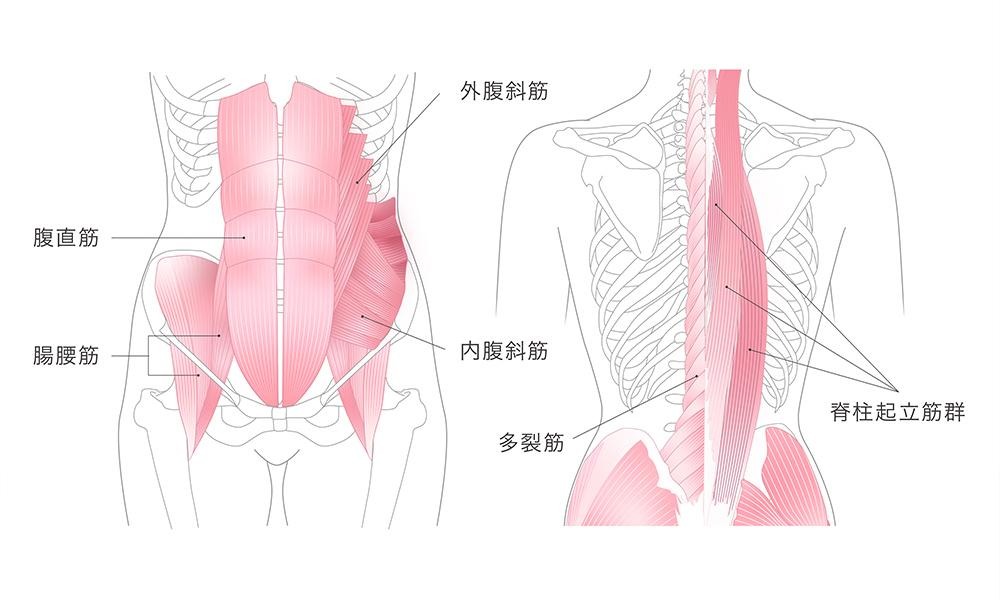 マロウ / & MEDICAL アンド メディカル