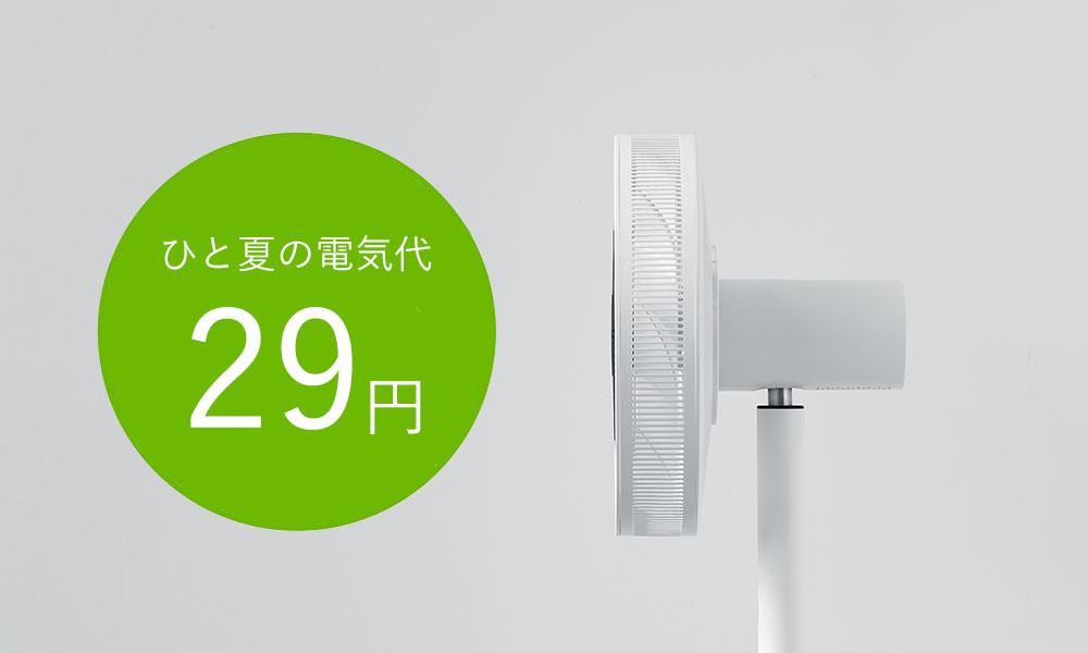The GreenFan / ザ グリーンファン
