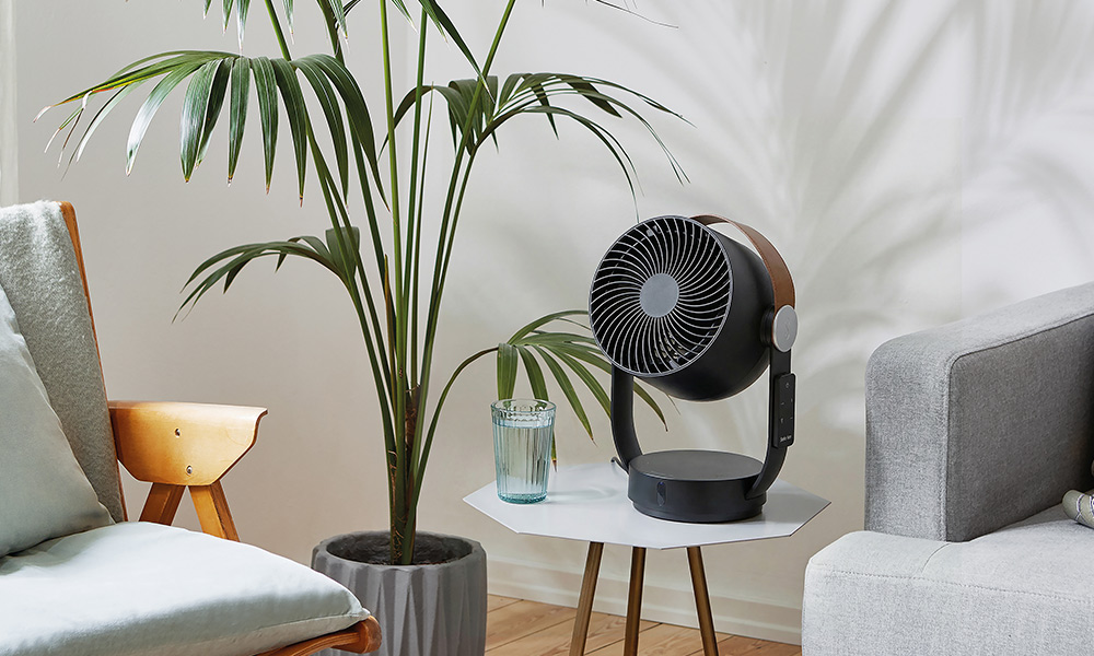 leo / Stadler form スタドラフォーム