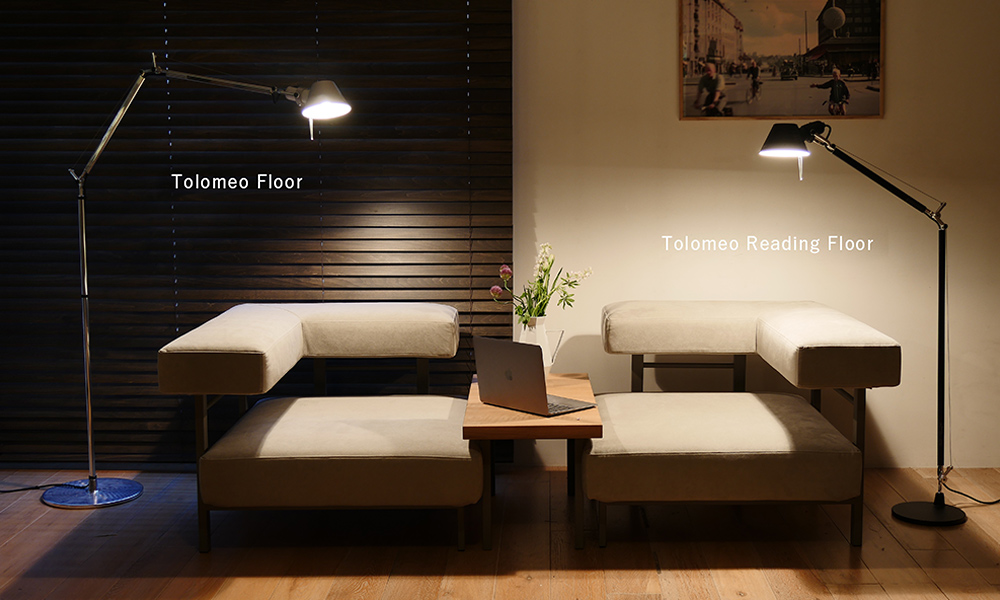 tolomeo / アルテミデ