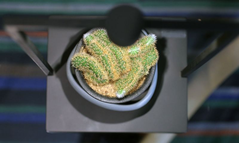 キュリオシティ 36
