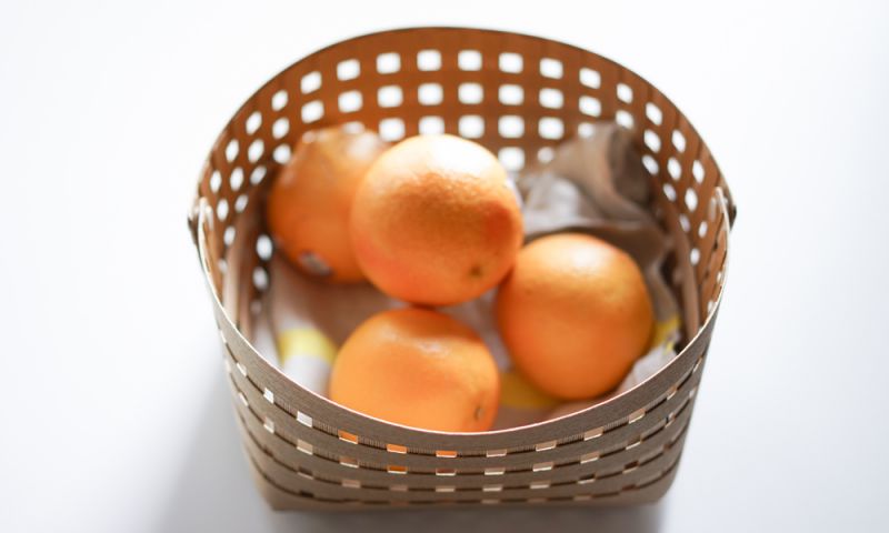 バンドシー