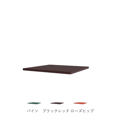 パントンワイヤー シングルインレイシェルフ VPW6X / MDF 【海外取寄せ品】