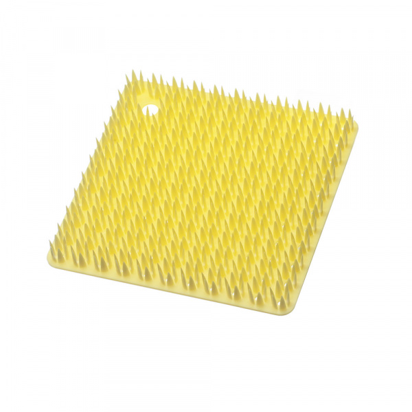 【アウトレット30%OFF】プラタワ フォーキッチン / キッチン用ブラシ
