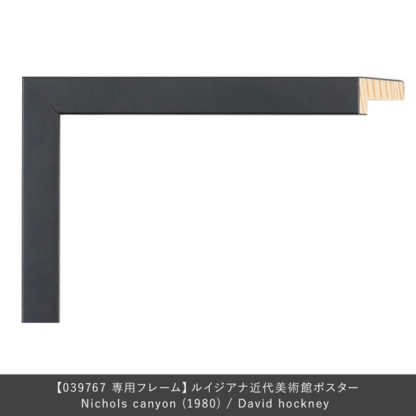 フレーム ユニバース / Nichols canyon (1980) / David hockney専用 / ブラック
