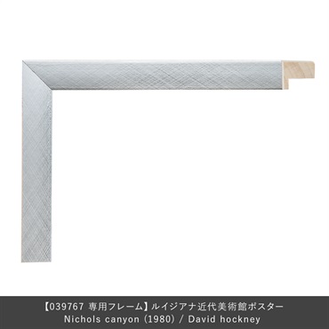 フレーム ユニバース / Nichols canyon (1980) / David hockney専用 / シルバー