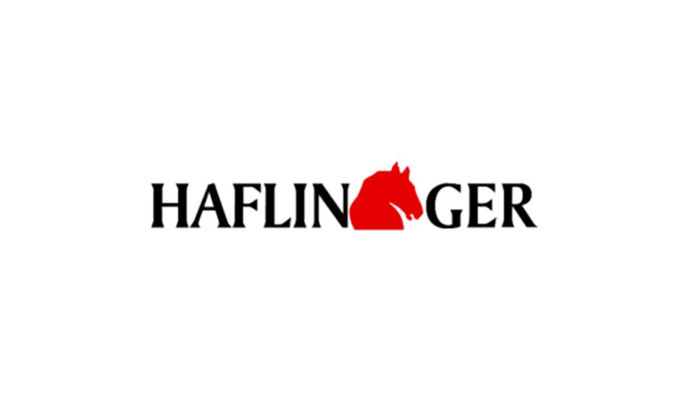 haflinger