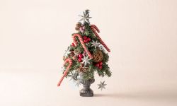 クリスマスツリー /  ツリーキット・ノア / Cristmas Tree  / Tree Kit Noah