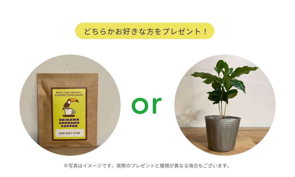 LINE 登録 キャンペーン